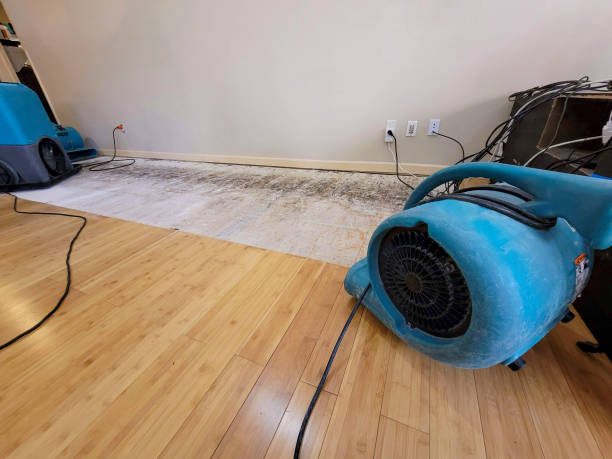 Professional Basement Flood Cleanup technician working in Tecumseh, OK